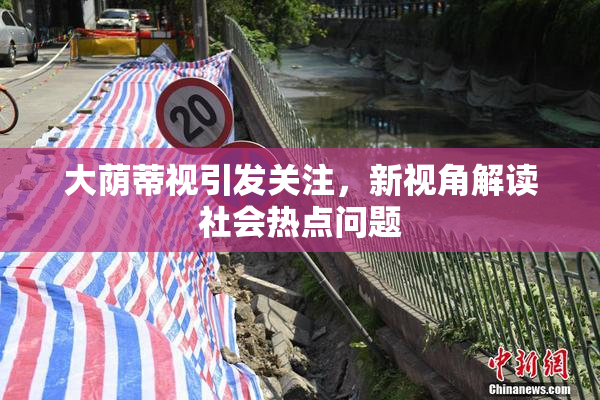大荫蒂视引发关注，新视角解读社会热点问题