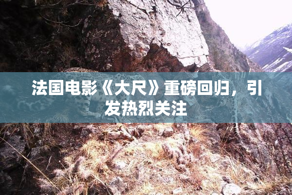 法国电影《大尺》重磅回归，引发热烈关注