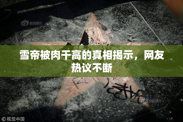 雪帝被肉干高的真相揭示，网友热议不断