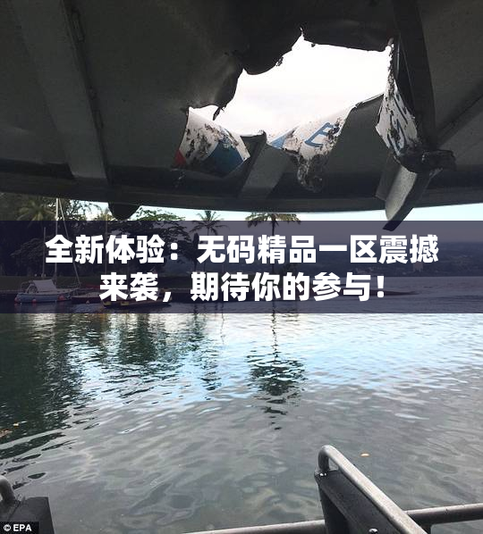全新体验：无码精品一区震撼来袭，期待你的参与！