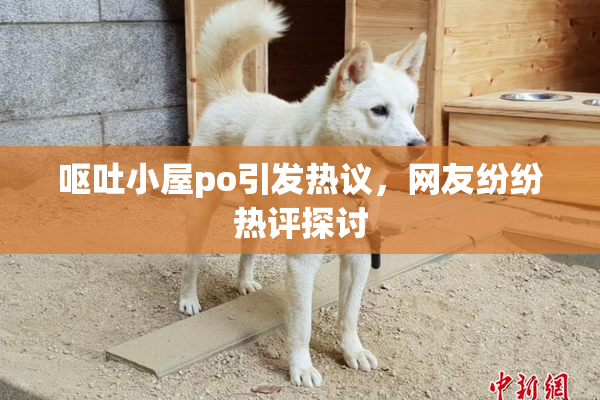 呕吐小屋po引发热议，网友纷纷热评探讨