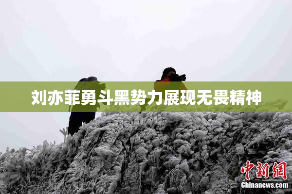 刘亦菲勇斗黑势力展现无畏精神