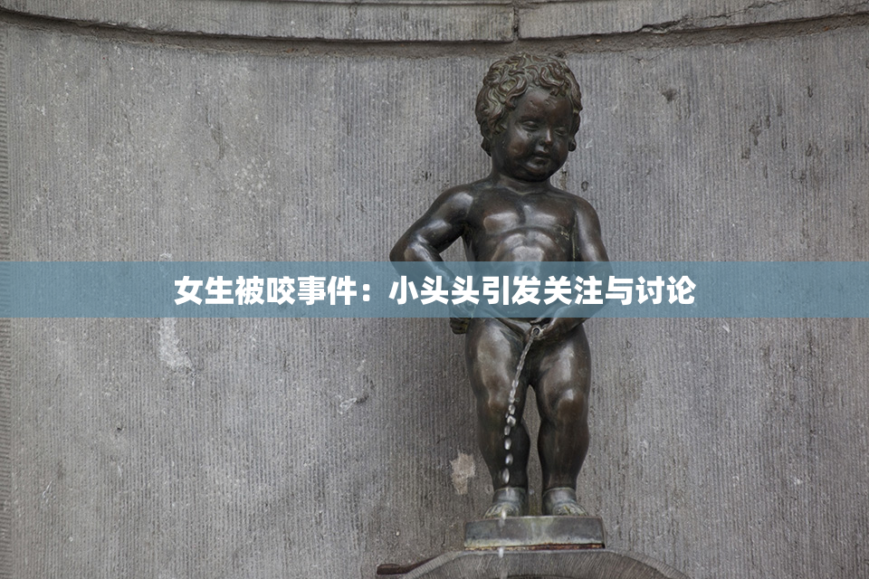 女生被咬事件：小头头引发关注与讨论