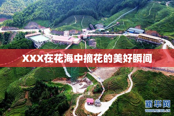 XXX在花海中摘花的美好瞬间