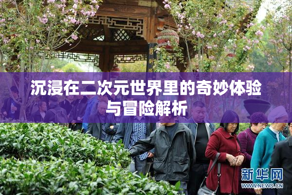 沉浸在二次元世界里的奇妙体验与冒险解析