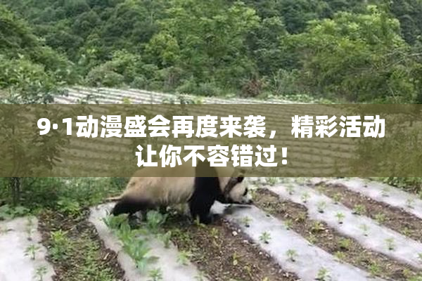 9·1动漫盛会再度来袭，精彩活动让你不容错过！