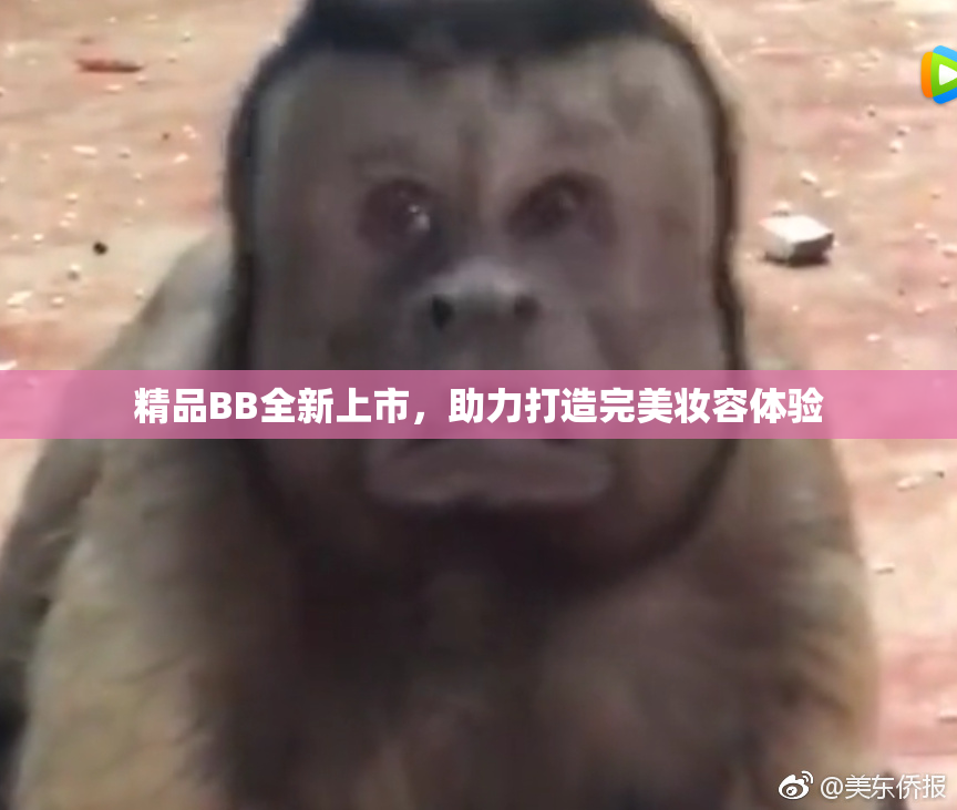 精品BB全新上市，助力打造完美妆容体验