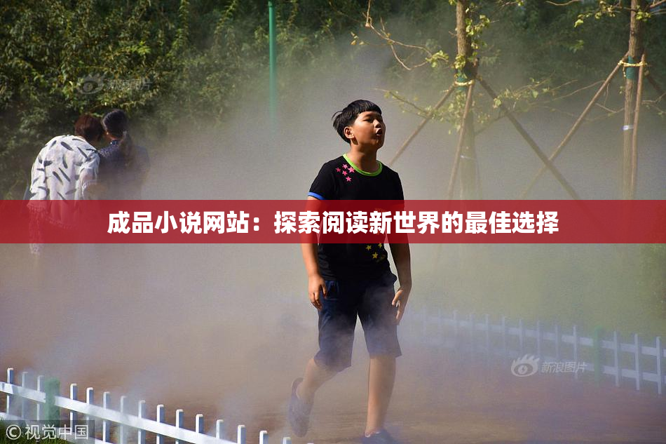 成品小说网站：探索阅读新世界的最佳选择