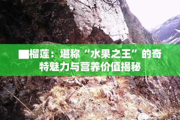 ▇榴莲：堪称“水果之王”的奇特魅力与营养价值揭秘