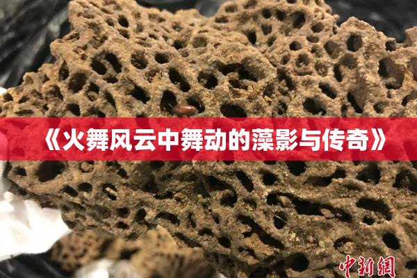 《火舞风云中舞动的藻影与传奇》
