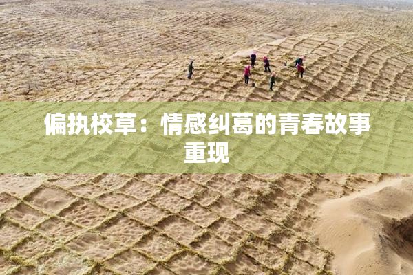 偏执校草：情感纠葛的青春故事重现