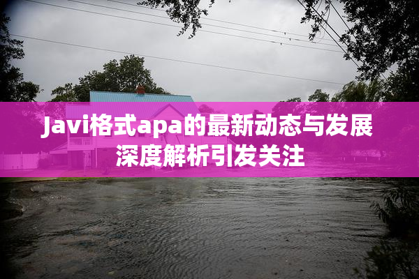 Javi格式apa的最新动态与发展深度解析引发关注