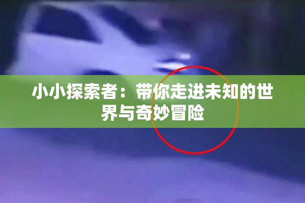 小小探索者：带你走进未知的世界与奇妙冒险