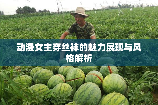 动漫女主穿丝袜的魅力展现与风格解析