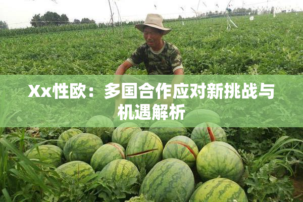 Xx性欧：多国合作应对新挑战与机遇解析
