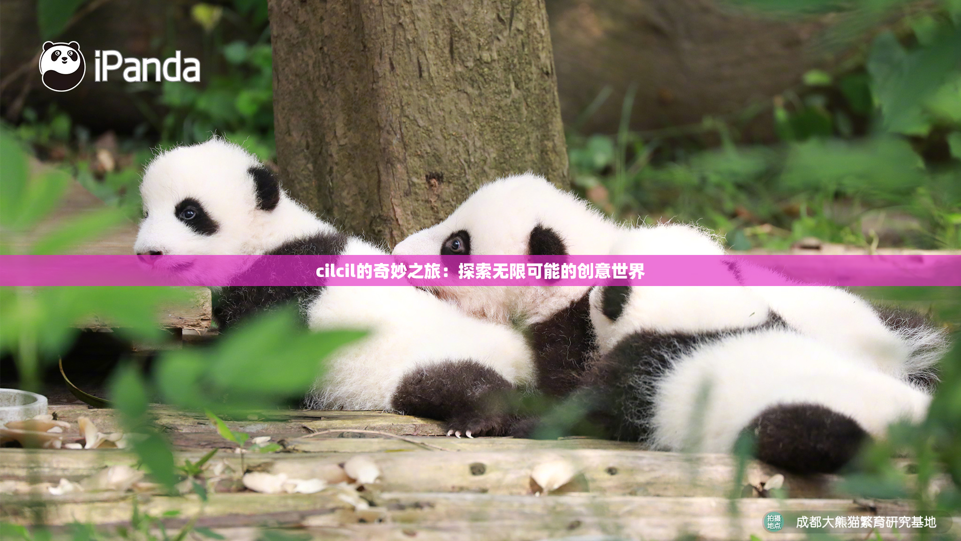 cilcil的奇妙之旅：探索无限可能的创意世界