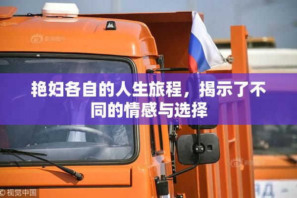 艳妇各自的人生旅程，揭示了不同的情感与选择