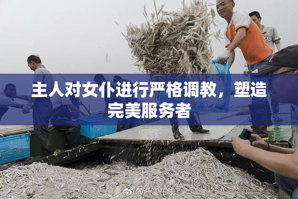 主人对女仆进行严格调教，塑造完美服务者
