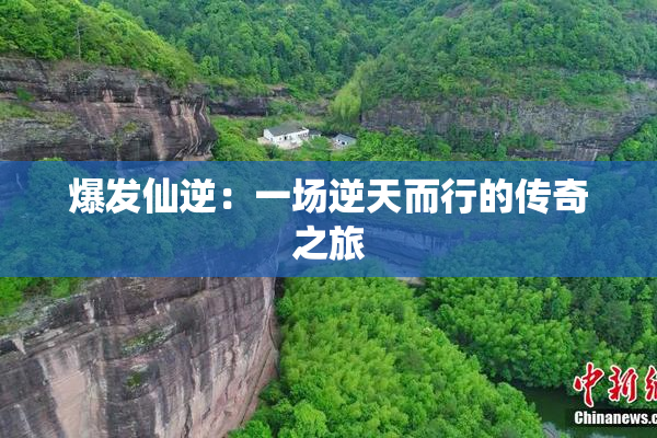 爆发仙逆：一场逆天而行的传奇之旅