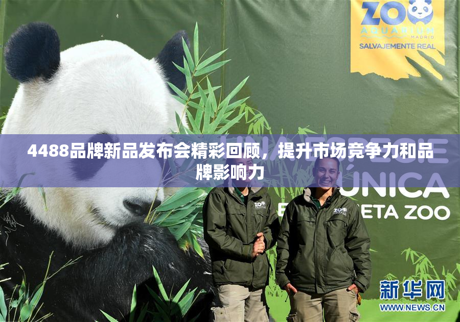 4488品牌新品发布会精彩回顾，提升市场竞争力和品牌影响力