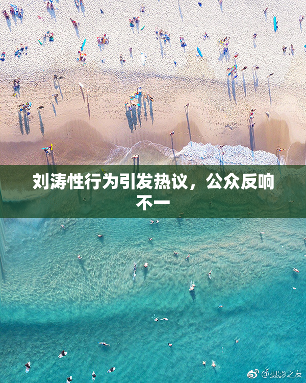 刘涛性行为引发热议，公众反响不一