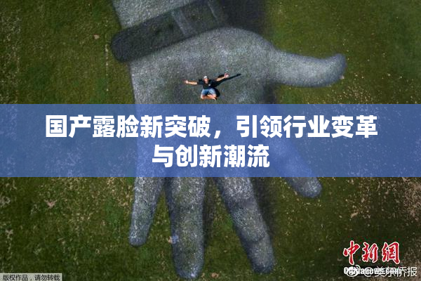 国产露脸新突破，引领行业变革与创新潮流
