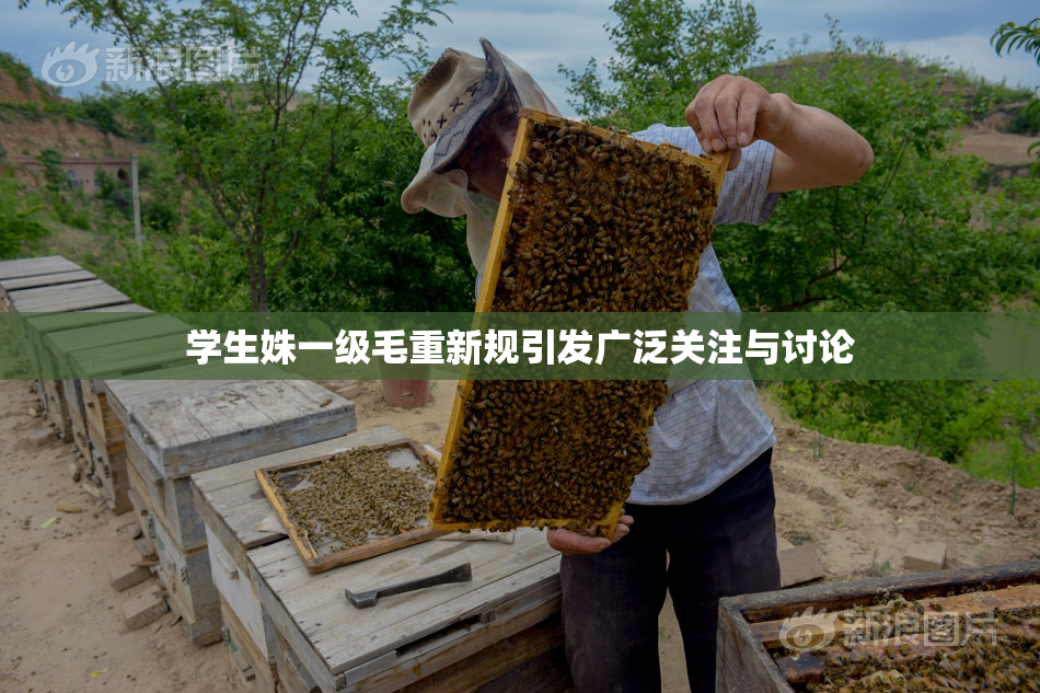 学生姝一级毛重新规引发广泛关注与讨论