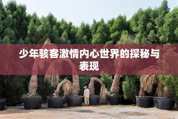 少年骇客激情内心世界的探秘与表现