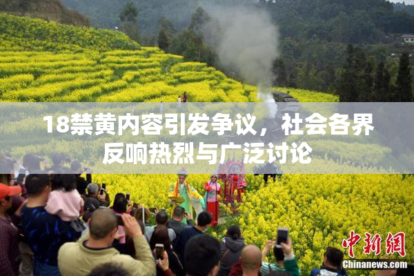 18禁黄内容引发争议，社会各界反响热烈与广泛讨论