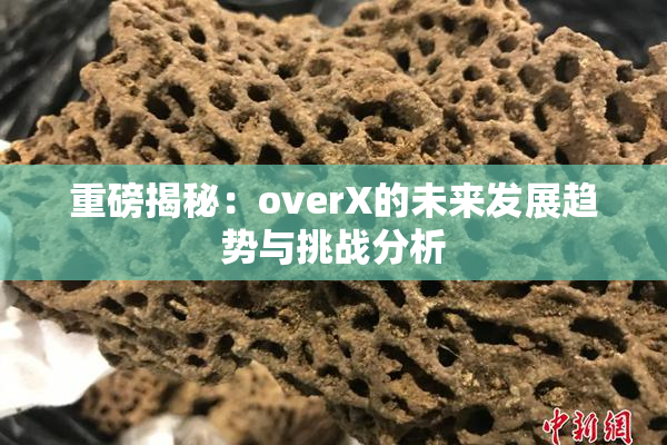 重磅揭秘：overX的未来发展趋势与挑战分析
