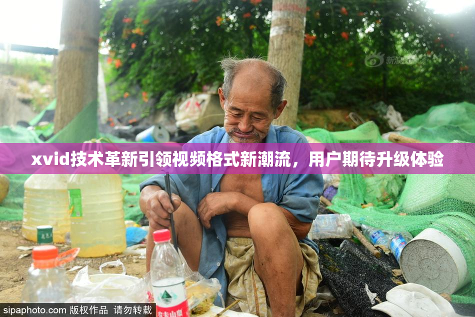 xvid技术革新引领视频格式新潮流，用户期待升级体验