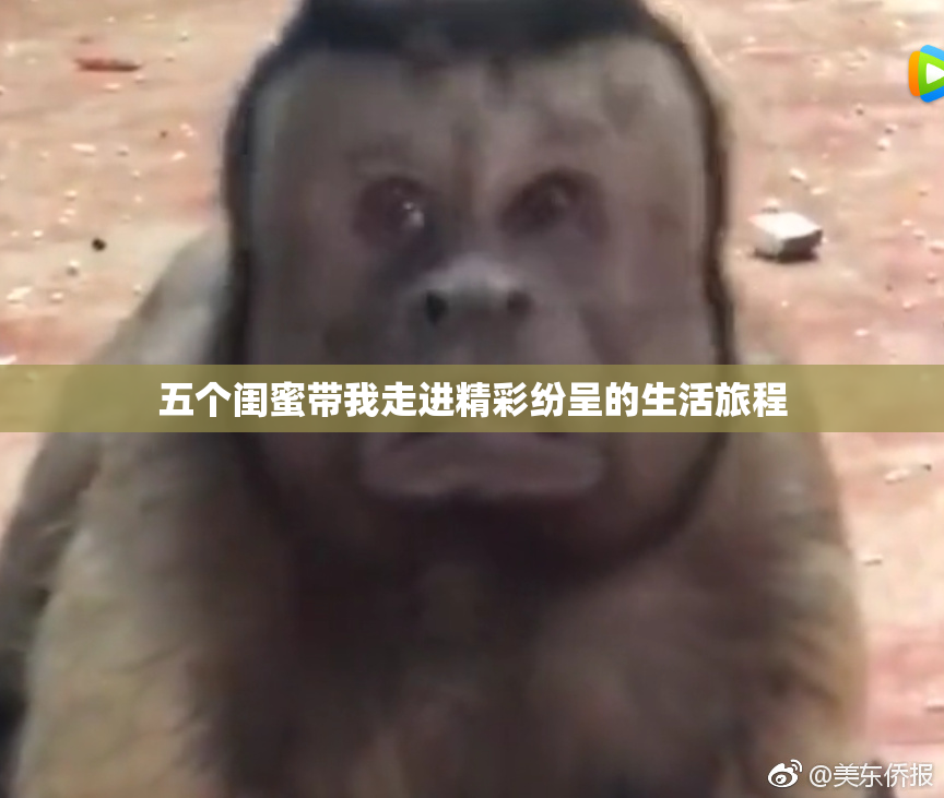 五个闺蜜带我走进精彩纷呈的生活旅程