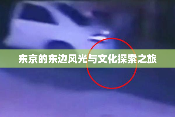 东京的东边风光与文化探索之旅