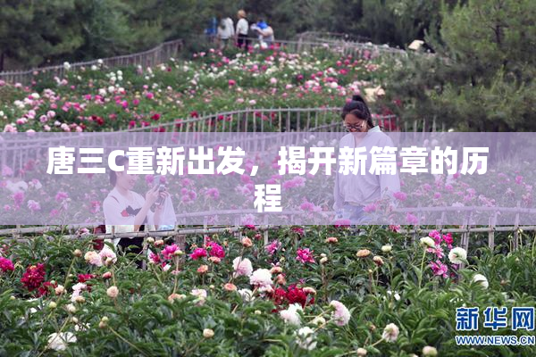 唐三C重新出发，揭开新篇章的历程