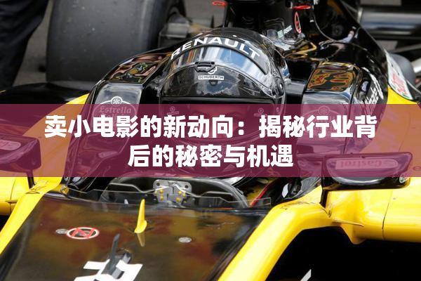 卖小电影的新动向：揭秘行业背后的秘密与机遇