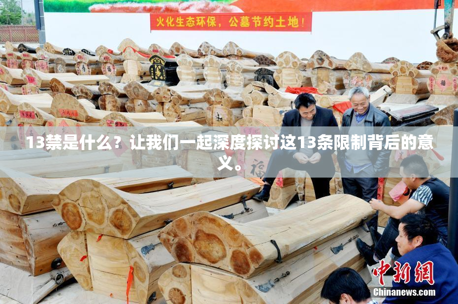 13禁是什么？让我们一起深度探讨这13条限制背后的意义。