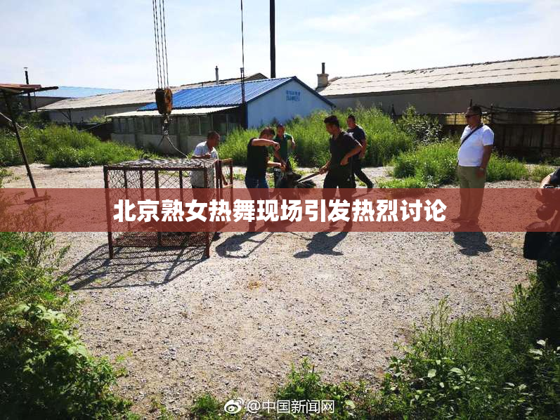 北京熟女热舞现场引发热烈讨论