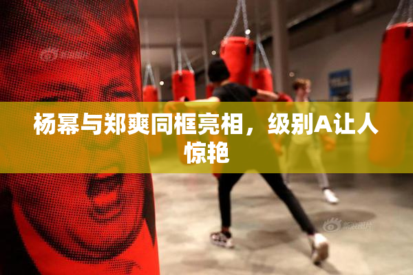 杨幂与郑爽同框亮相，级别A让人惊艳