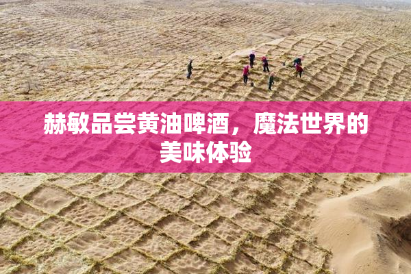赫敏品尝黄油啤酒，魔法世界的美味体验