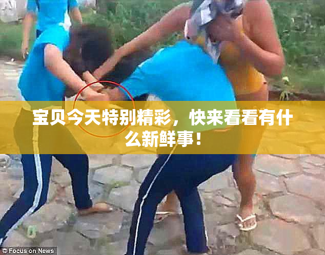 宝贝今天特别精彩，快来看看有什么新鲜事！