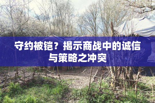 守约被铠？揭示商战中的诚信与策略之冲突