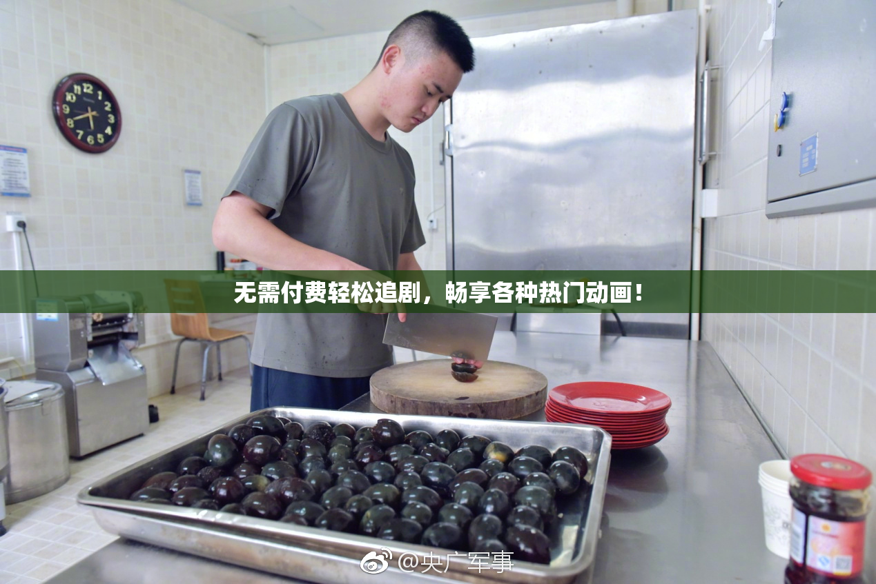 无需付费轻松追剧，畅享各种热门动画！