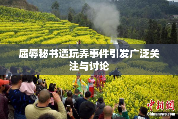 屈辱秘书遭玩弄事件引发广泛关注与讨论