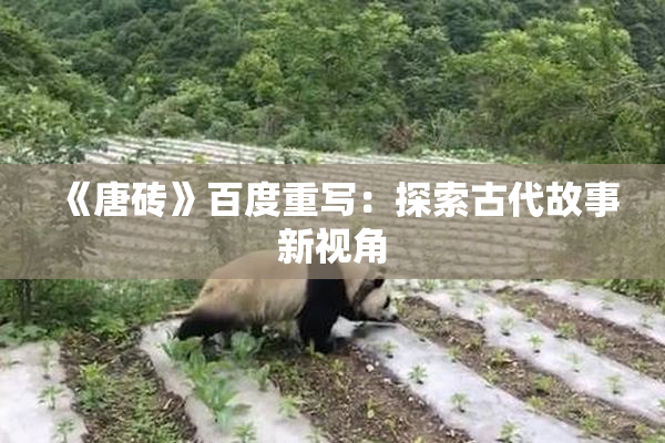 《唐砖》百度重写：探索古代故事新视角