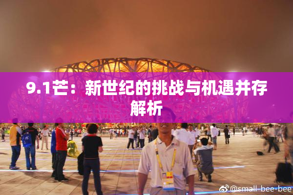 9.1芒：新世纪的挑战与机遇并存解析