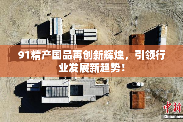 91精产国品再创新辉煌，引领行业发展新趋势！