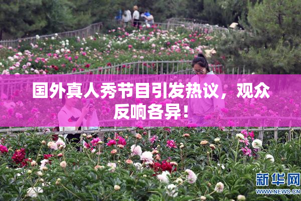 国外真人秀节目引发热议，观众反响各异！
