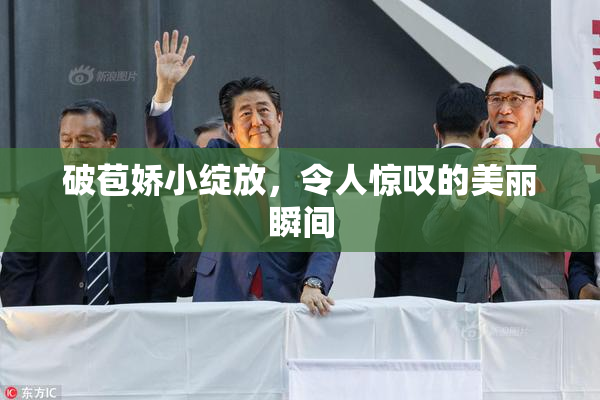 破苞娇小绽放，令人惊叹的美丽瞬间