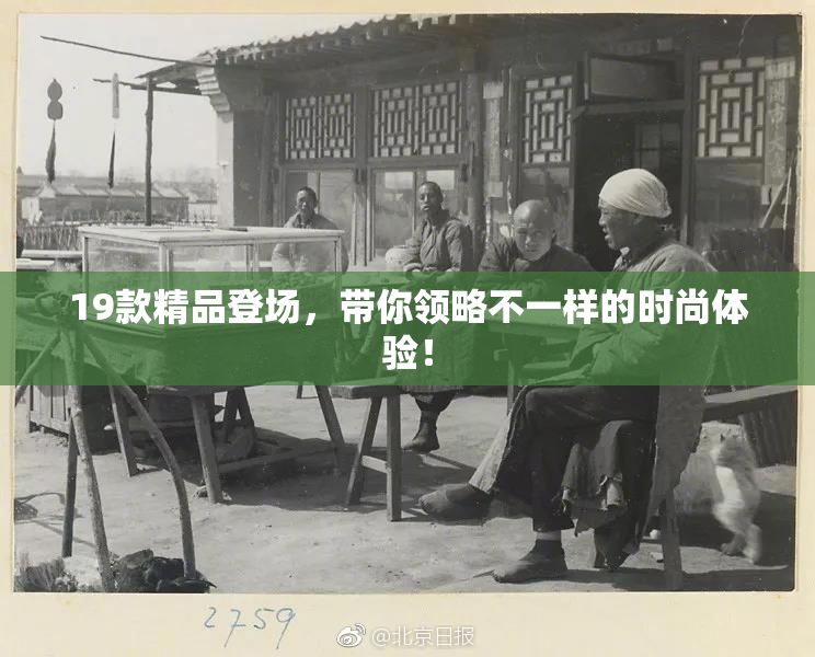 19款精品登场，带你领略不一样的时尚体验！