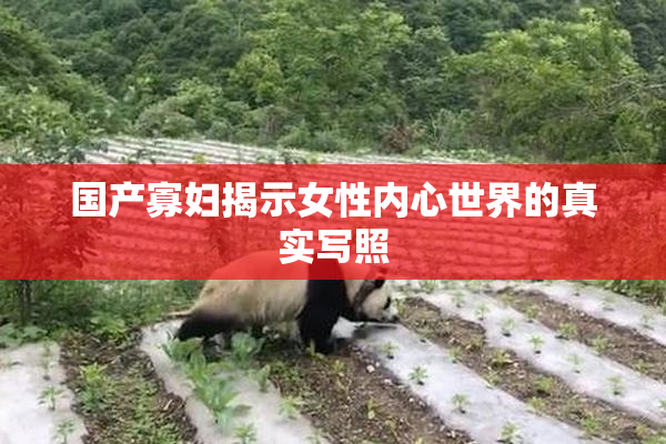 国产寡妇揭示女性内心世界的真实写照